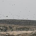 Peru 0089